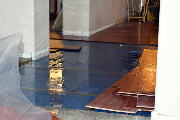 Professional Basement Flood Cleanup technician working in Spangle, WA